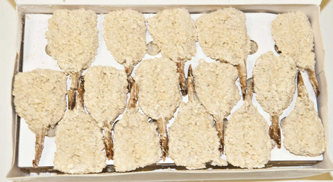 Ocean Cafe Hand Breaded Raw 21 25 Oriental Butterfly Cleantail Shrimp, 3 Pound -- 4 per case.