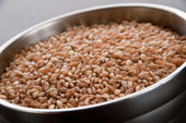 InHarvest Cholesterol Free Pearl Wheat Farro, 2 Pound -- 6 per case