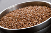 InHarvest Wheat Berries, 2 Pound -- 6 per case