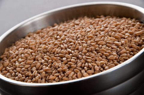 InHarvest Wheat Berries, 2 Pound -- 6 per case