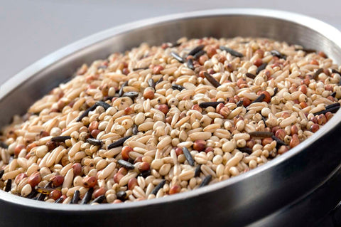 InHarvest Wild and Free Naked Sorghum Blend, 2 Pound -- 6 per case