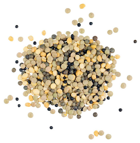 InHarvest Black Forest Lentil Blend, 2 Pound -- 6 per case