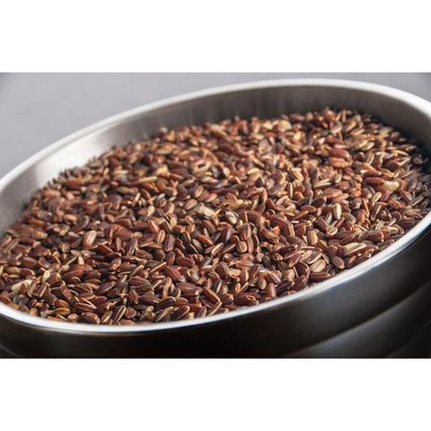 In Harvest Sprouted Sienna Red Rice, 25 Pound