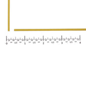 Costa 10 inch Linguini Pasta, 20 Pound.