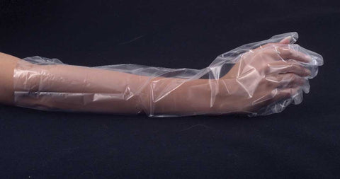 Royal Elbow Poly Gloves, 100 count per pack -- 20 per case.
