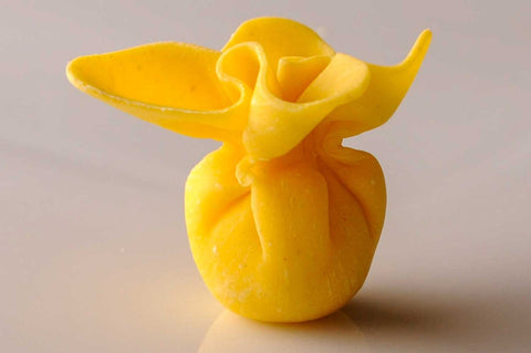 Louisa Cheese Sacchetti, 6 Pound