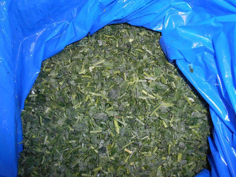 SupHerb Farms Parsley, 4 Pound.