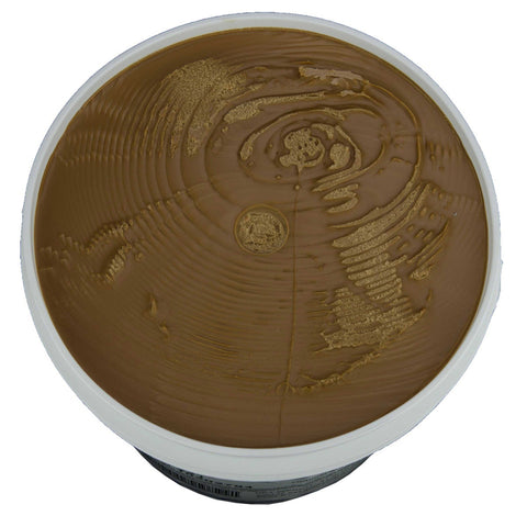 Brill Transmart Caramelize Icing, 21 Pound.