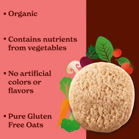 Made Good Organic Snickerdoodle Cookie, 5 Ounce -- 6 per case