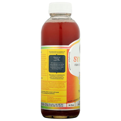 GTS Enlightened Synergy Organic Trilogy Raw Kombucha, 16 Fluid Ounce -- 12 per case