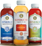 GTS Enlightened Synergy Organic Gingerberry Kombucha Tea, 16 Fluid Ounce -- 6 per case