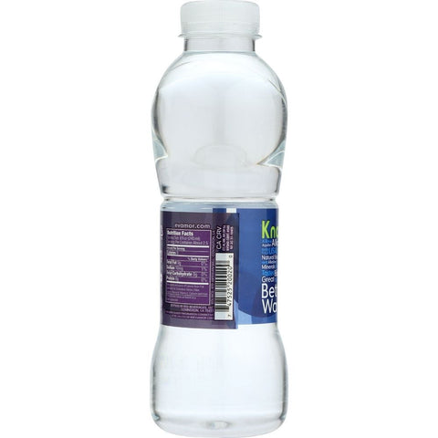 Evamor Artesian Spring Water, 20 Fluid Ounce -- 24 per case
