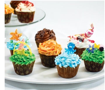 Bake N Joy Baked Chocolate Flavored Cupcake, 4 Ounce -- 60 per case.