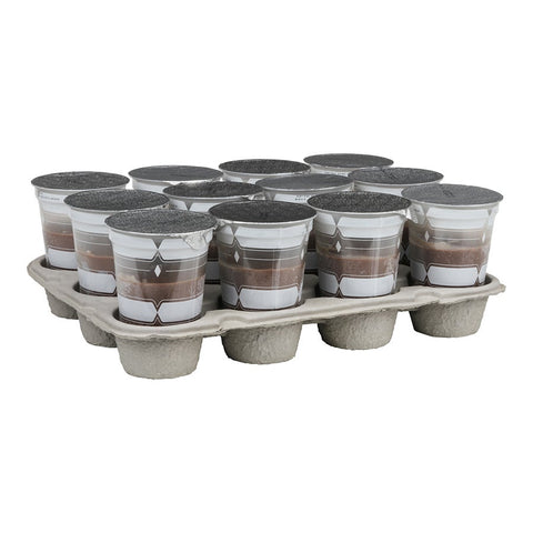 F real BTC1 Chocolate Shake, 10 Fluid Ounce -- 12 per case.