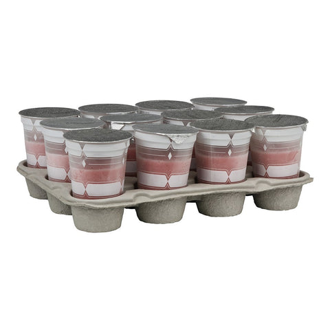 F real BTC1 Strawberry Banana Smoothie, 10 Fluid Ounce -- 12 per case.