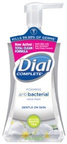 Dial Complete White Tea Antibacterial Foaming Hand Wash, 7.5 Ounce -- 8 per case