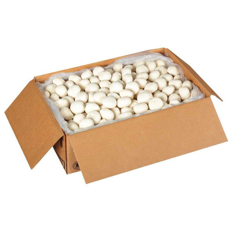 Conestoga Flour Tortilla Dough, 1.5 Ounce -- 384 per case.