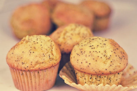 Foxtail Foods Simply Scoop Lemon Poppy Seed Muffin Batter, 18 Pound.