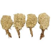 Tampa Bay Fisheries 8 to 12 Count Coconut Butterfly Breaded Shrimp, 3 Pound -- 4 per case