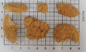 Brakebush Crispy Lishus Uncooked Chicken Tender Fritter, 10 Pound