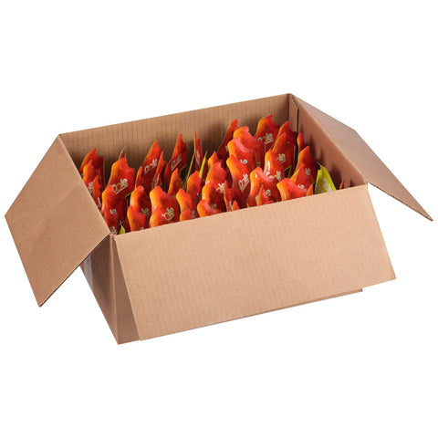 Fruitocracy Apple Squeezable Fruit Pouch, 4.8 Ounce -- 50 per case.