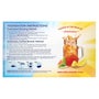 Lipton Tropical Unsweetened Iced Tea Bags, 1 gallon Pack of 24 -- 2 per case