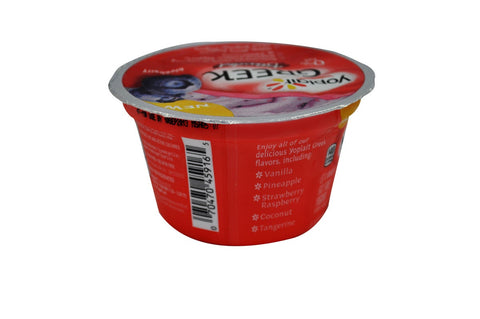 Yoplait Greek Blended Blueberry Yogurt, 5.3 Ounce -- 12 per case.
