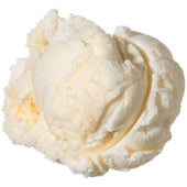 Blue Bunny No Sugar Added Fat Free Vanilla Ice Cream, 3 Gallon Tub