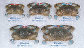Handy Soft Shell Jumbo Crab, 3.5 Ounce -- 24 per case.