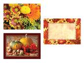 Hoffmaster 3 Designs Autumn Days Paper Placemat, 9.75 x 14 inch -- 1000 per case.