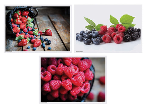 Hoffmaster 3 Designs Berry Delight Paper Placemat, 10 x 14 inch -- 1000 per case.
