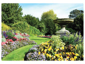 Hoffmaster English Garden Paper Placemat, 9.75 x 14 inch -- 1000 per case.