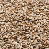 Azar Nut Roasted Unsalted Sunflower Kernels, 5 Pound -- 2 per case.