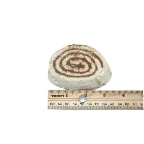 General Mills Pillsbury Supreme Freezer-to-Oven Cinnamon Twirl, 5 Ounce -- 100 per case.