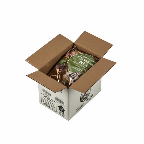 Big Train Chocolate Mint Blended Ice Coffee Mix, 3.5 Pound -- 5 per case.