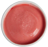 Villa Dolce Raspberry Sorbet, 3.6 Ounce -- 24 per case