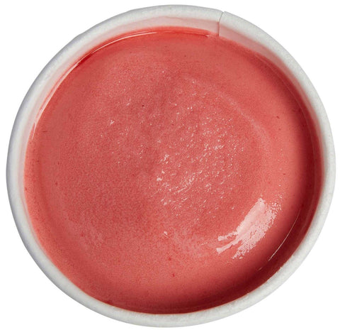 Villa Dolce Raspberry Sorbet, 3.6 Ounce -- 24 per case