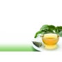 Revolution Organic Green Tea, 2.33 Ounce -- 4 per case.