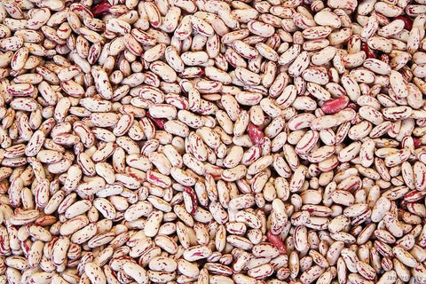 Commodity Beans Triple Clean Pinto Bean, 20 Pound Box