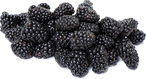 Commodity Fruit Whole Marionberry Fruit, 30 Pound.