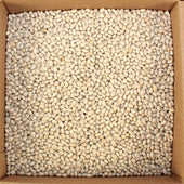 Commodity Beans Navy Bean, 20 Pound
