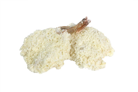 Frozen Seafood Clean Tail Breaded Butterfly Shrimp, 3 Pound -- 4 per case.