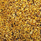 Savor Imports Ready To Eat Fire Roasted Corn, 20 Pound