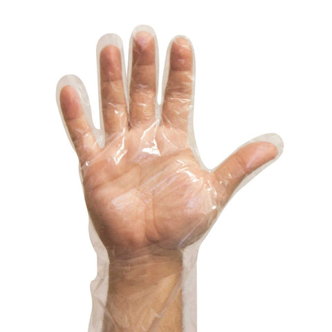 Glove, 250 -- Count