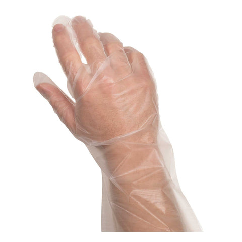 Glove (Poly Disposable Gloves) 250 --- Count