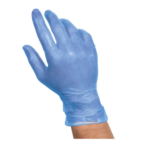 Handgards Large Blue Vinyl Disposable Glove -- 10 per case.