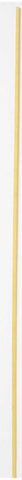 Pasta Growers Pasta Vermicelli Cuts 10, 10 Pound -- 2 Per Case