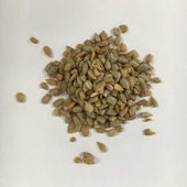 Sunrich Naturals Honey Roasted Sunflower Seed Kernel, 1.2 Ounce -- 150 per case.