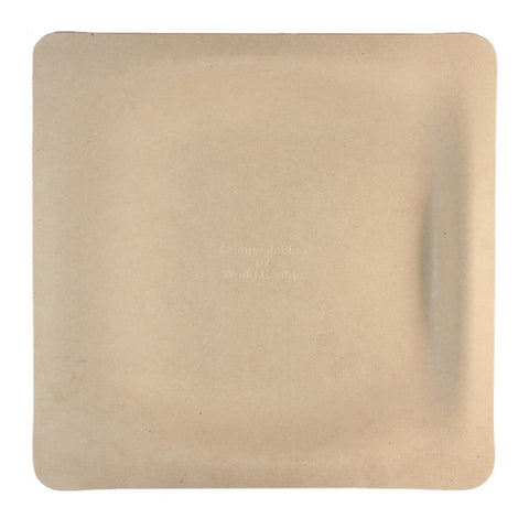 World Centric Compostable Unbleached Plant Fiber Square Plate, 9 inch -- 500 per case.