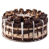 Davids Premier 14 Cut Peanut Butter Explosion Cake -- 2 per case